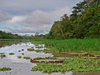 Peru 2008 - 1 1206.JPG