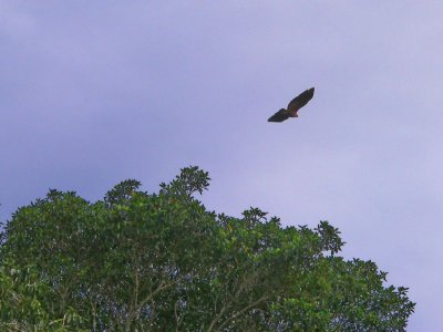 Peru 2008 - 1 1207.JPG