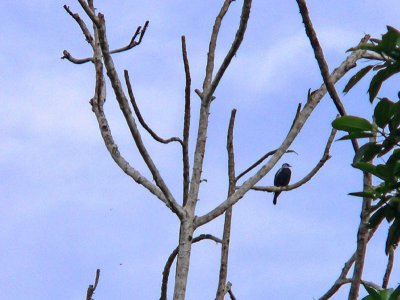 Peru 2008 - 1 1208.JPG