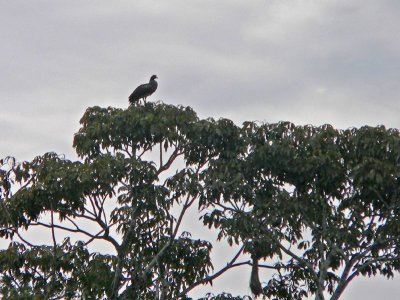 Peru 2008 - 1 1212.JPG