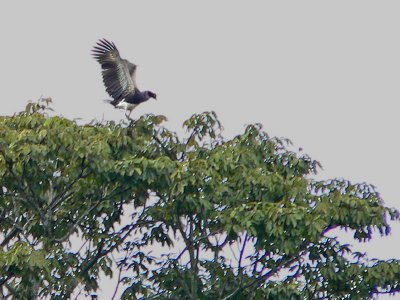 Peru 2008 - 1 1214.JPG