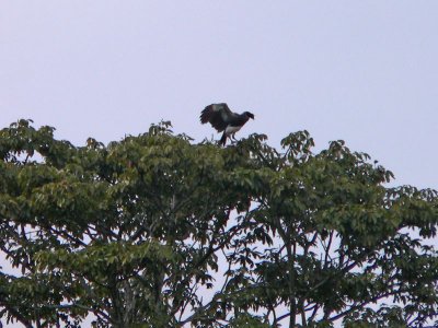 Peru 2008 - 1 1216.JPG