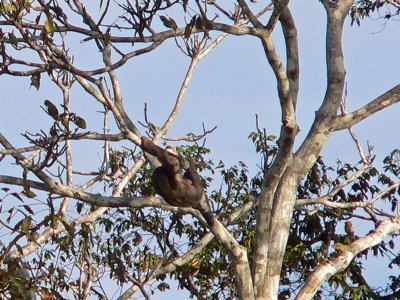 Peru 2008 - 1 1221.JPG