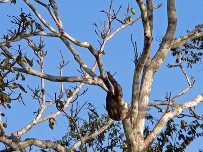 Peru 2008 - 1 1223.JPG