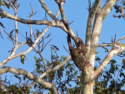 Peru 2008 - 1 1225.JPG