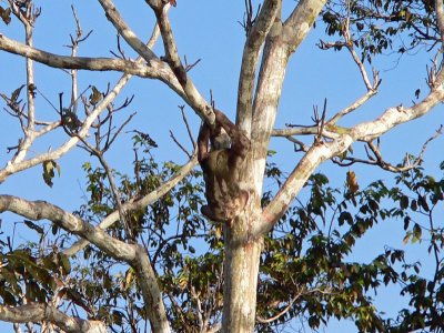 Peru 2008 - 1 1226.JPG