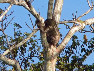 Peru 2008 - 1 1228.JPG