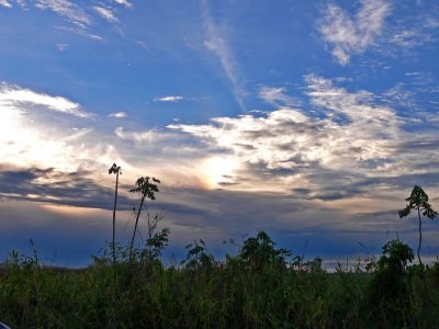 Peru 2008 - 1 1272.JPG