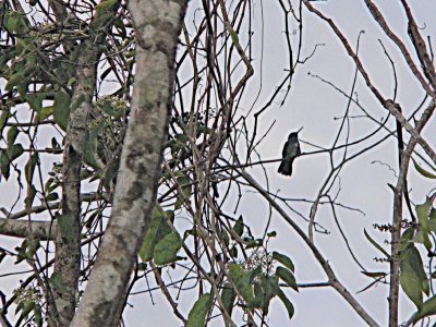 Peru 2008 - 1 932.JPG