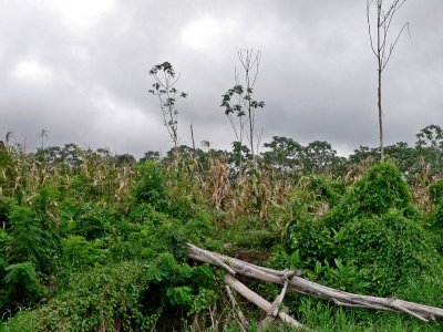 Peru 2008 - 1 996.JPG