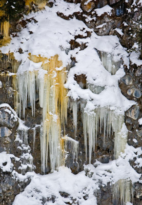 Yellow Ice Yellowstone Feb