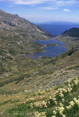 Alpine lake -   Kosciuszko National Park