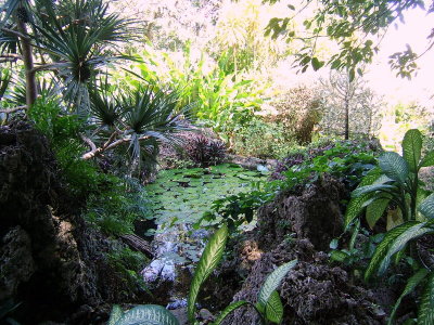 DSCF1742.JPG