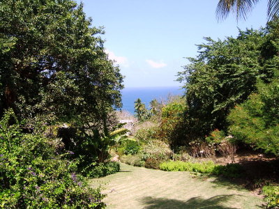 DSCF1740.JPG