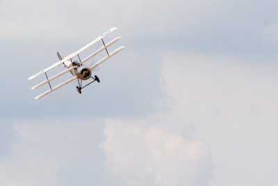 IMG_1013.jpg