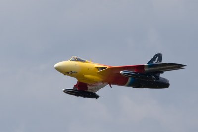 IMG_1158.jpg
