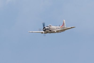 IMG_1328.jpg