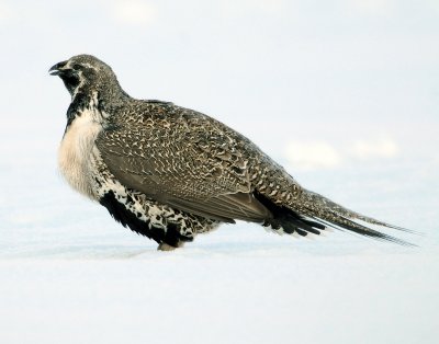DSC_3081.jpg
