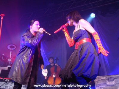 Tarja