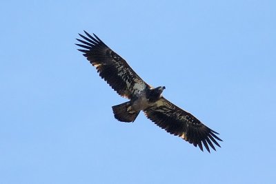 g3/14/73314/3/120971005.0f8DaAgo.jpg