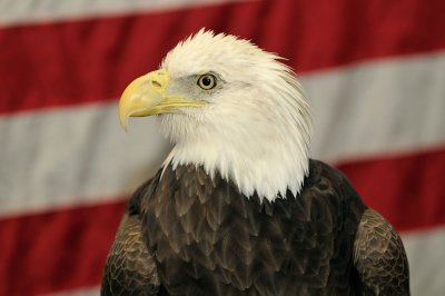 DSC_6973.jpg