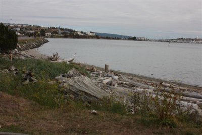 IMG_0182 (Medium).JPG