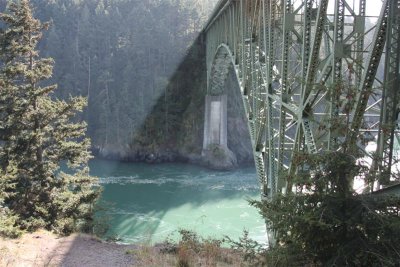 IMG_0229 (Medium).JPG