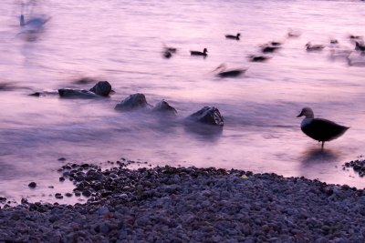 _MG_2800.jpg