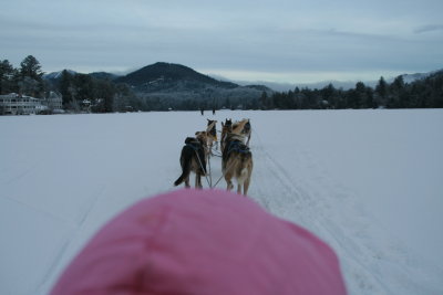  Dogsled Ride!