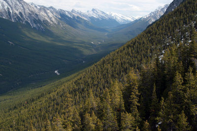 Banff_3829