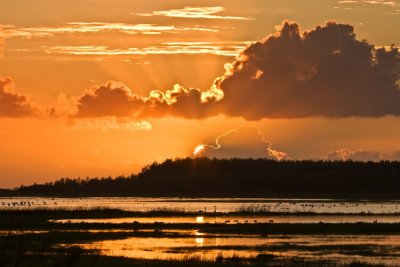 Lauwersmeer National Park