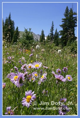 Indian Peaks Wilderness