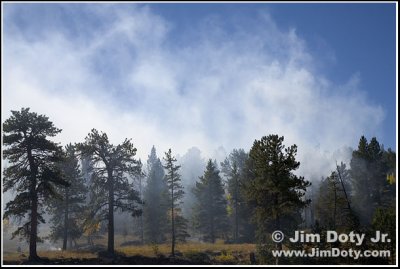 Controlled Fire, Rocky Mountain National Park