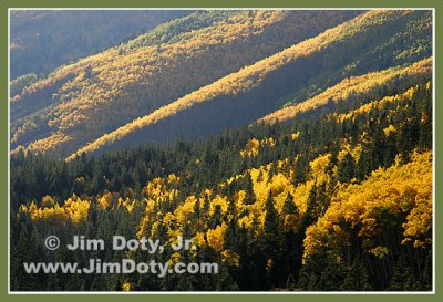 Aspen, Marshall Pass