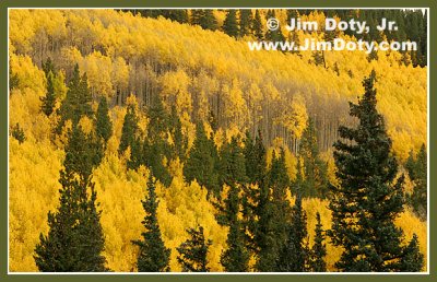 Aspen, Marshall Pass