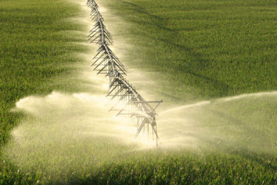 Center Pivot, Northeastern Colorado
