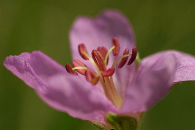 456E_5605.jpg
