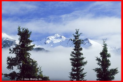 Morning Fog, Denali National Park