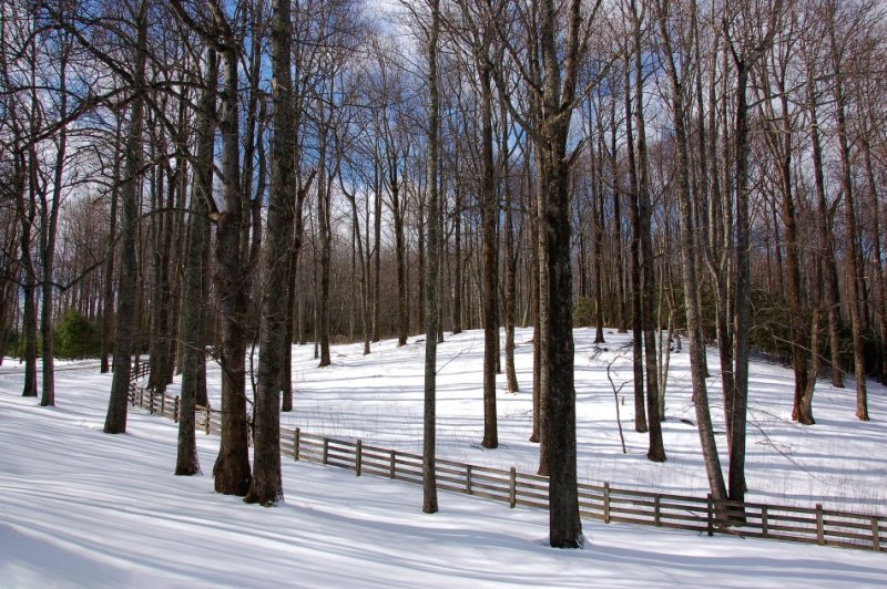 Snow at Primland