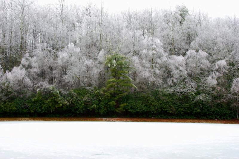 Ice at Primland
