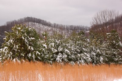 Awesome views at Primland