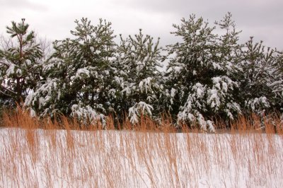 Wintertime at Primland