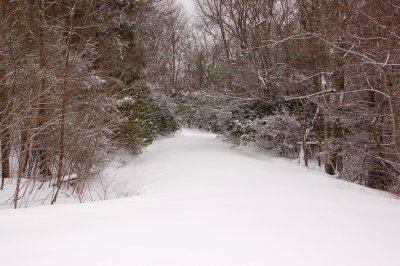 Mother Nature in the Winter at Primland