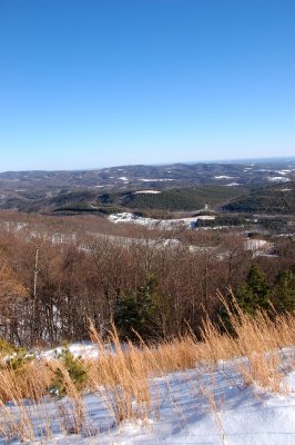 View of some of Primlands many Upland Bird hunting fields from high above at Primland