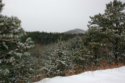 Winter's Awesome Beauty at Primland
