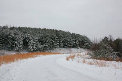 Winter Wonderland at Primland