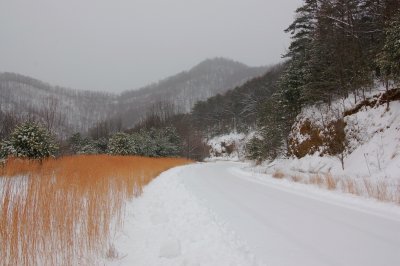 Snow in the Mountains of Primland