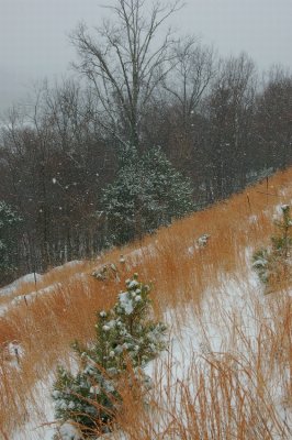 Snow's coming down at Primland