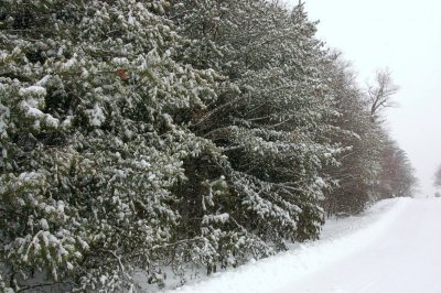 Come see the Snow at Primland