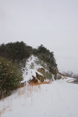 Nature at it's best in the Winter at Primland